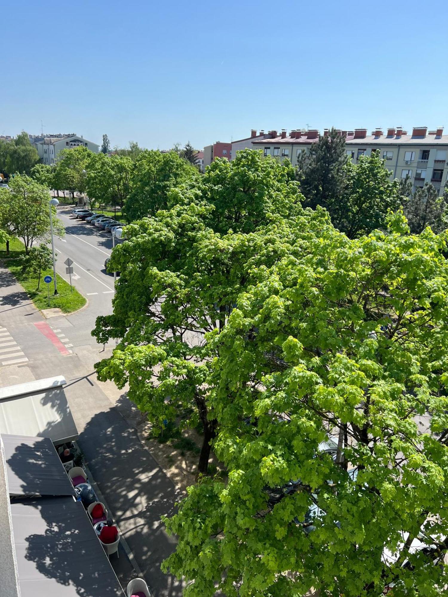 Rita Apartment-Free Parking&Wifi Zagreb Exteriör bild